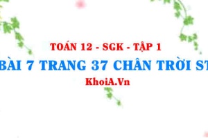 Bài 7 trang 37 Toán 12 Tập 1 Chân trời sáng tạo